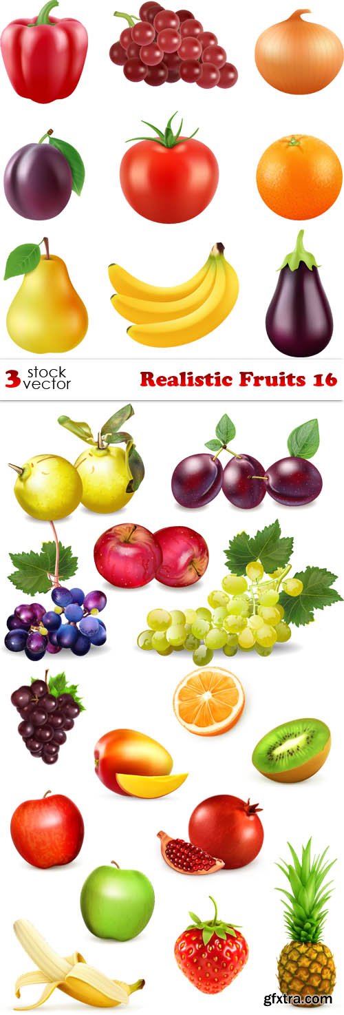 Vectors - Realistic Fruits 16