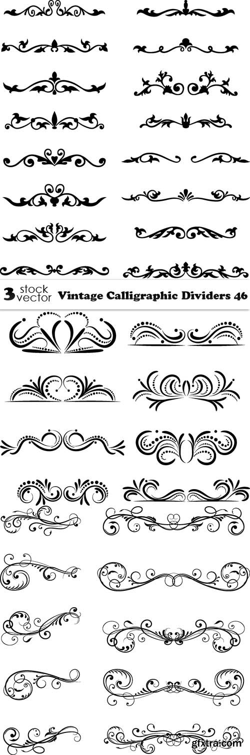 Vectors - Vintage Calligraphic Dividers 46
