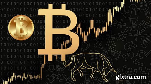 Bitcoin for Beginners: Bitcoin & Cryptocurrency Fundamentals