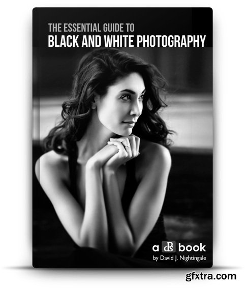 Essential Guide To Black And White Photography by David Nightingale