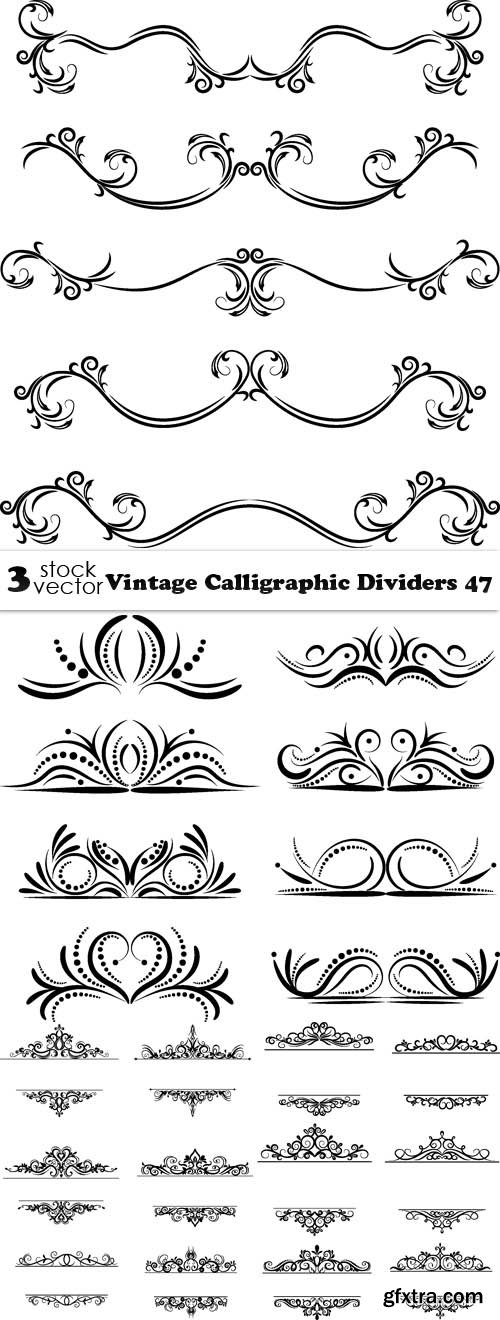 Vectors - Vintage Calligraphic Dividers 47