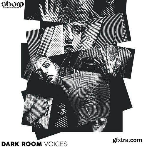 Function Loops Dark Room Voices WAV