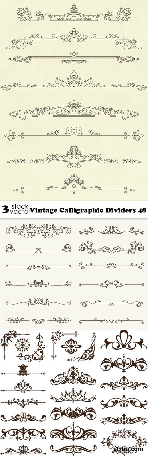 Vectors - Vintage Calligraphic Dividers 48