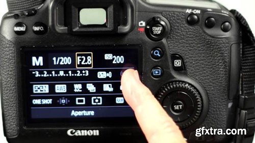 Beginner Photography Master ISO, Aperture, and Shutter Speed