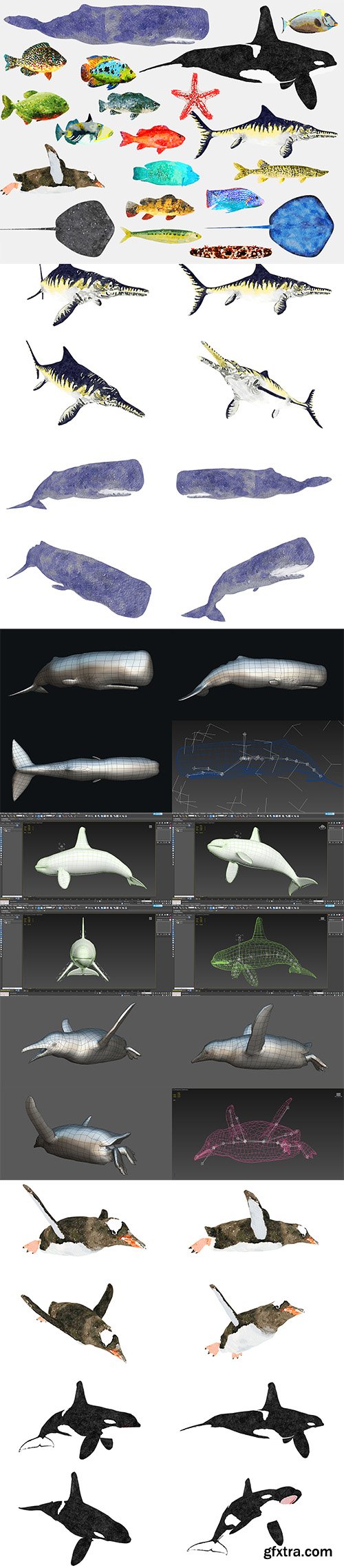 Cubebrush - Fish Illustration Collection - Animted Part 3