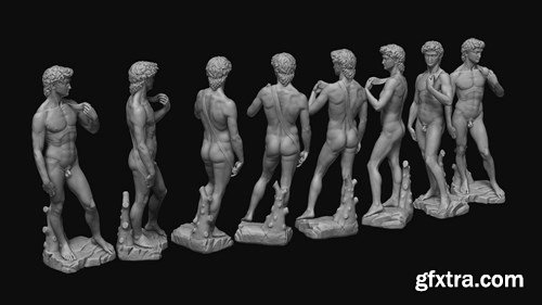 David Michelangelo 3D Model