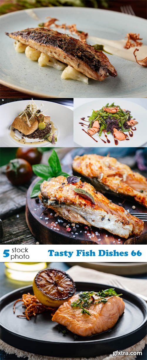 Photos - Tasty Fish Dishes 66