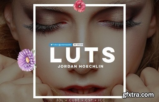Jordan Hoechlin 22+ LUTs (Win/Mac)