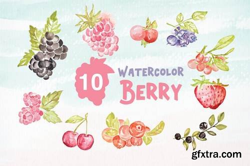10 Watercolor Berry Illustration Graphics