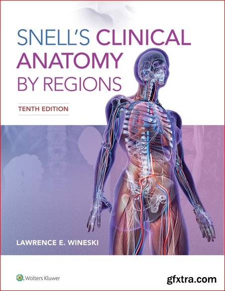 Snell\'s Clinical Anatomy by Regions 10th Edition