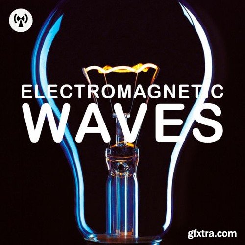 Noiiz Electromagnetic Waves WAV