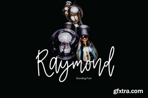 CreativeMarket Raymond | Branding Font 2194217