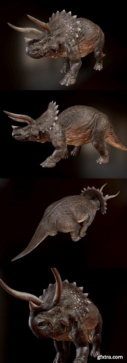 Triceratops – Dinosaur 3D Model