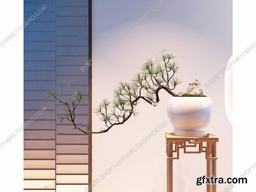 Chinese Plant Pine Potted 3d Model