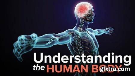 Understanding the Human Body: An Introduction to Anatomy and Physiology 2nd Edition