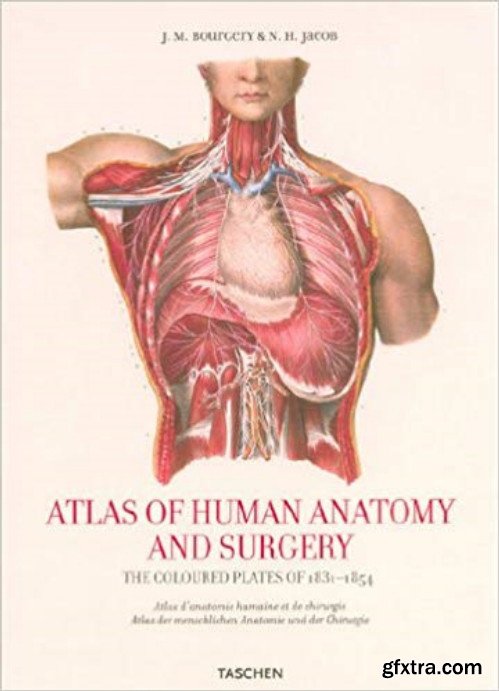 Atlas of Human Anatomy and Surgery (25th Edition)