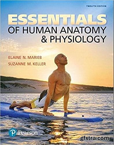 Essentials of Human Anatomy & Physiology, 12th Edition