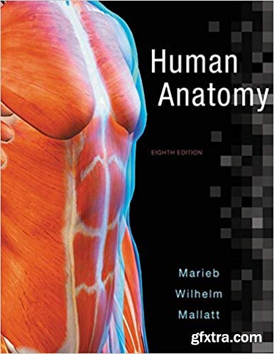 Human Anatomy, 8th Edition