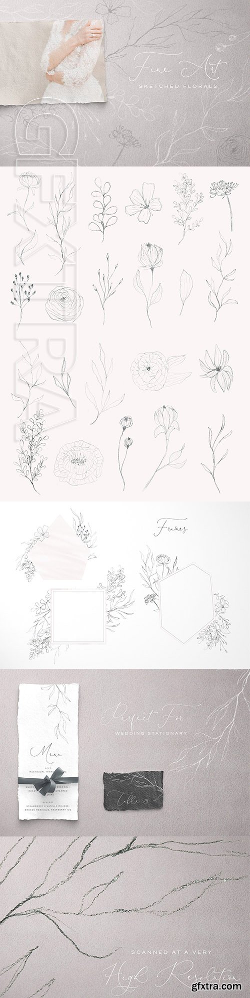 CreativeMarket - Fine Art Sketched Florals 3156472