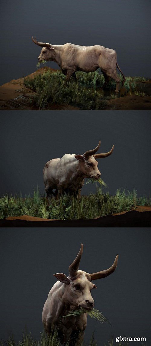 Cow – 3D Model