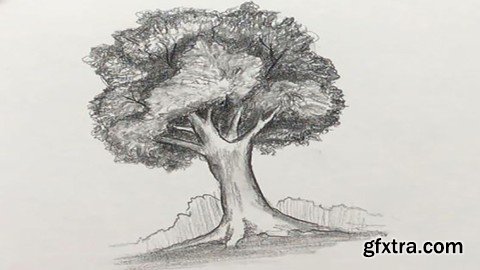 Introduction to Pencil Drawing and Shading Course