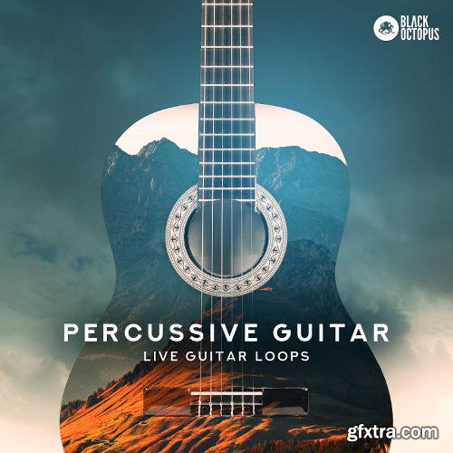 Black Octopus Sound Percussive Guitar WAV-DISCOVER