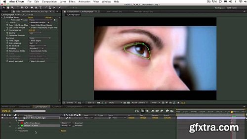RevisionFX RE:Flex 5.3.0 for After Effects macOS