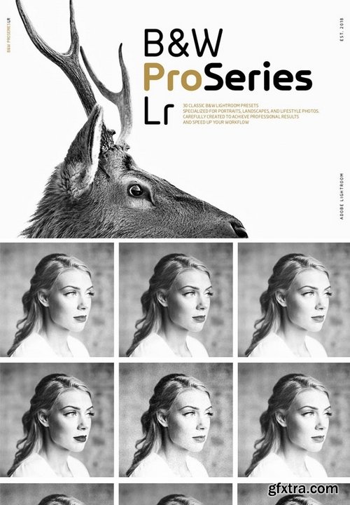 GraphicRiver - Black and White ProSeries Lr 21441845
