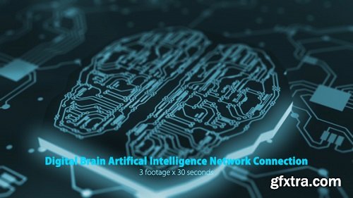 Digital Brain Artificial Intelligence Network Connection Pack