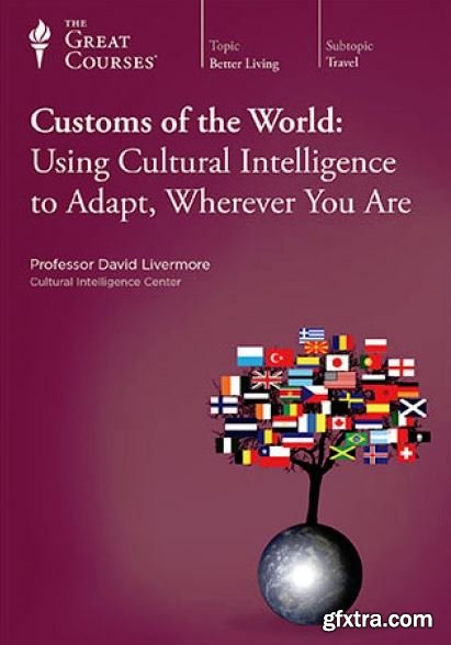 Customs of the World: Using Cultural Intelligence to Adapt, Wherever You Are