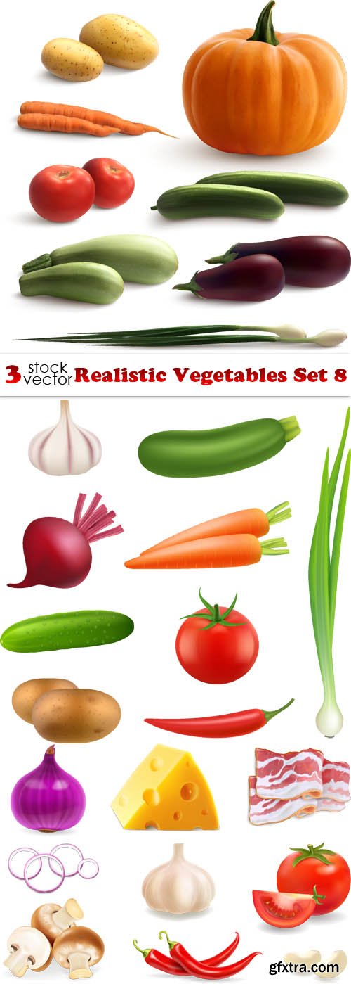 Vectors - Realistic Vegetables Set 8