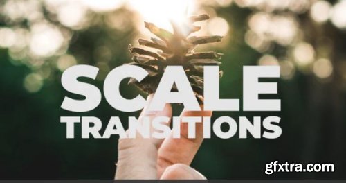 Scale Transitions - Premiere Pro 149269