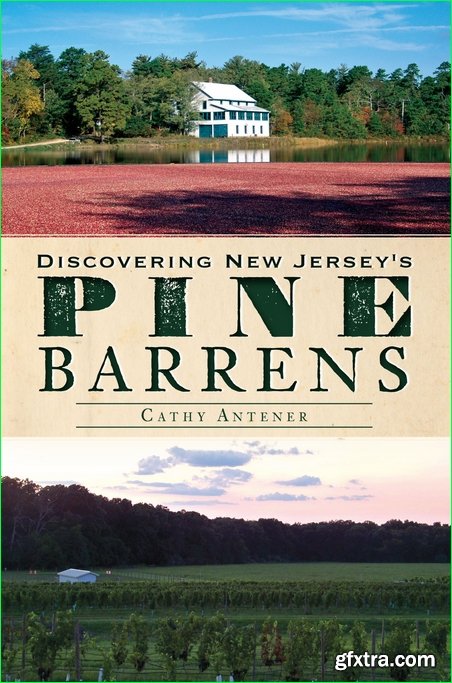 Discovering New Jersey’s Pine Barrens