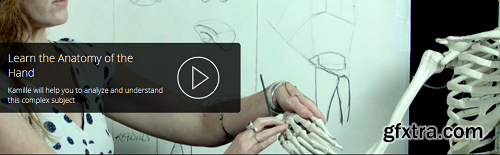 Introduction to the Structure of the Hand With Kamille Corry