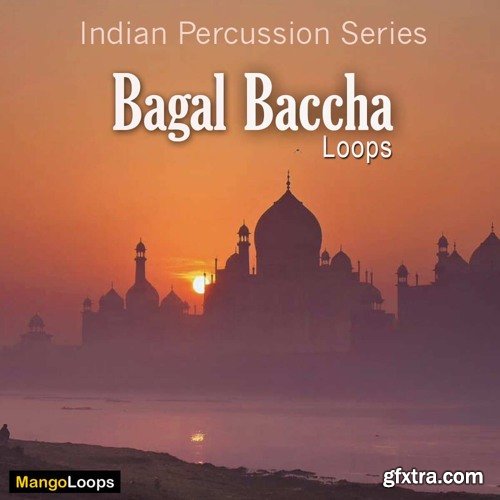 Mango Loops Indian Percussion Series Bagal Baccha WAV AiFF-SYNTHiC4TE