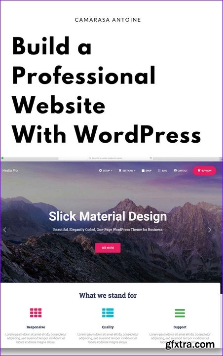 Build a professional website with wordpress