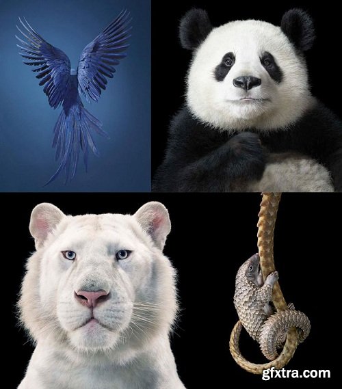 Karl Taylor Photography - Live Talk Show – Special Guest Tim Flach