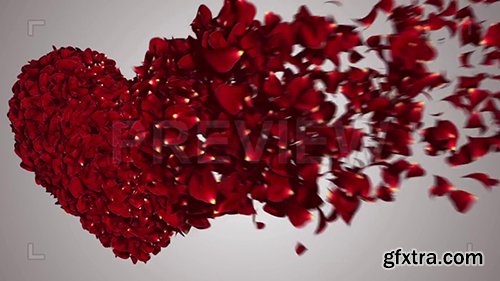 Heart Rose Petals Message Reveal 131932