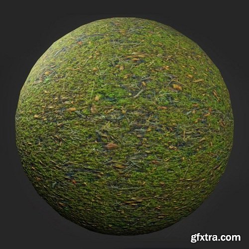 Mossy Mixed Ground PBR Material