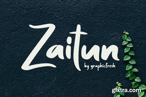 CM - Zaitun A Nature Branding Font 3415182