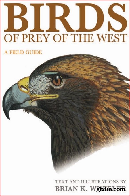 Birds of Prey of the West : A Field Guide