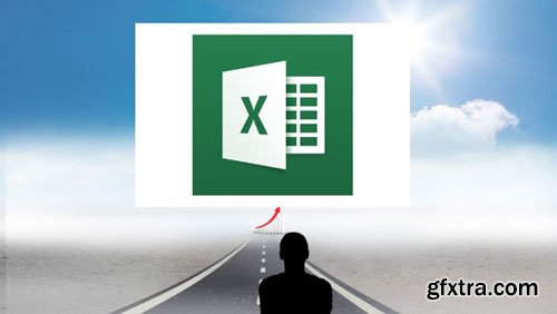 Microsoft Excel Professional