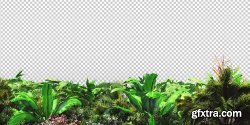 Tropical Plants In The Wind - Motion Graphics 156512