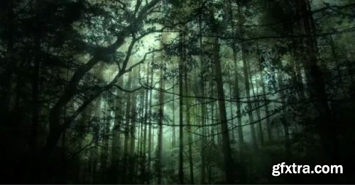 Dark Fantasy Forest Background - Motion Graphics 155309
