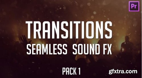Action Seamless Transitions Pack 1 166539