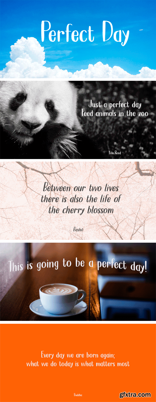 Perfect Day Font Family