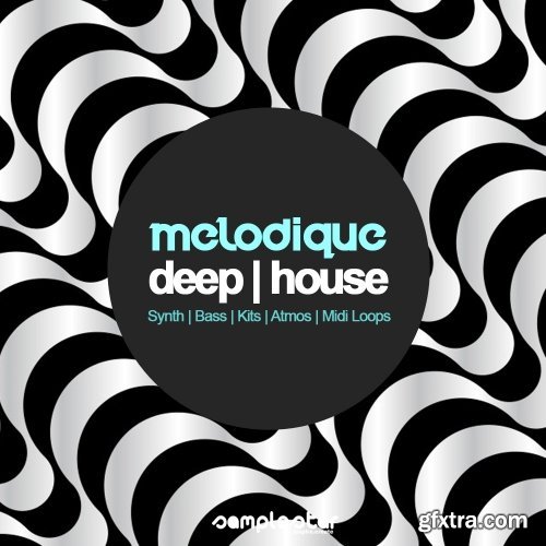 Samplestar Melodique Deep House WAV MiDi-DISCOVER