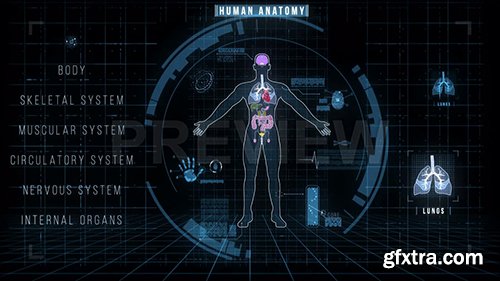 Futuristic Interface of Anatomy Systems 140271