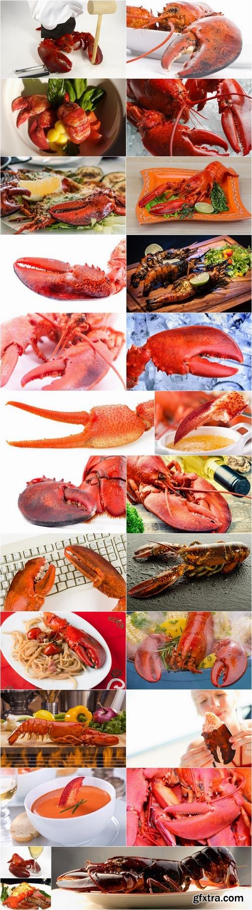Lobster chela cancer boiled seafood 25 HQ Jpeg