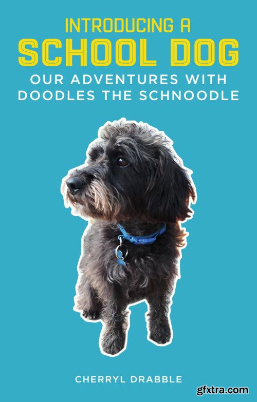 Introducing a School Dog: Our Adventures with Doodles the Schnoodle
